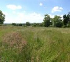 Voici la vue que on avons de notre terrain