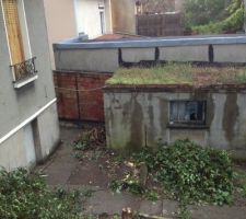 Les lilas ont &eacute;t&eacute; coup&eacute;s.