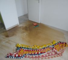 Degats des eaux chambre
