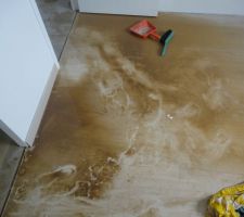 Degats des eaux chambre