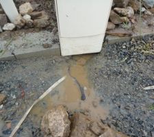 Avec de l'eau