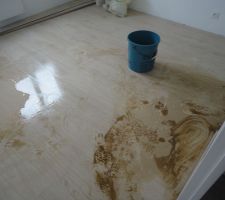 Degats des eaux chambre