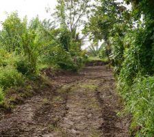 L'acc&egrave;s au terrain qui sera bient&ocirc;t recouvert de tuf (quand il fera beau)