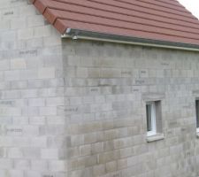 Mur humide vu de plus pres