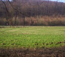 Le site dans la partie basse, en fait je suis désolé, j'ai surtout pris des photos de la partie qui m'interessait, malgré tout cela donne un idée de l'environnement