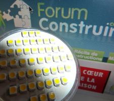 Ampoule GU10 à 48 led SMD