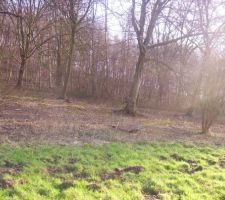 Je me retourne, voilà la forêt