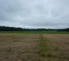 C'est l'orientation de notre maison : vue sur le champ
