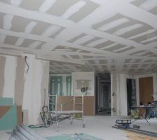 Plafond suspendu cuisine