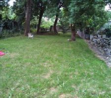 Futur jardin tout tondu!