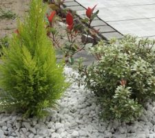 Plantation dans les angles de chaque côtés de l'allée en cours d'installation