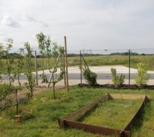 Le coin potager (à finir) et fruitiers.