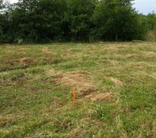 Terrain born&eacute; ...
On attend le ma&icirc;tre d'oeuvre !!!