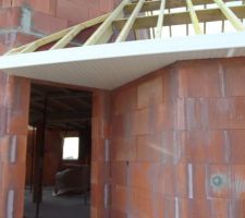 Pvc porte d entréé