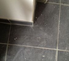 Carrelage : petite gravure souvenir ?????