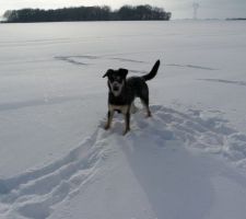 Vive la neige !!!