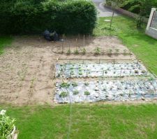 ça pousse au potager !!