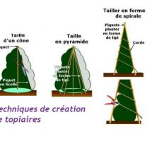 Créer ses propres topiaires