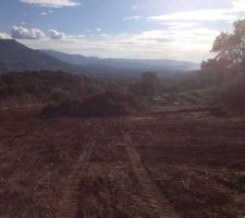 On y voit un peu plus clair