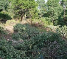 D&eacute;broussaillage avant feu