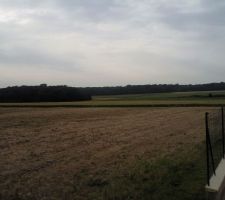 1&egrave;re visite du terrain (3)