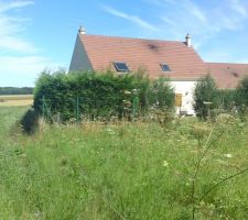 Visite du lot avant bornage (2)