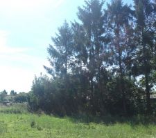 Visite du lot avant bornage (3)