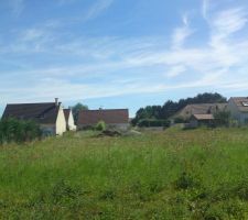 Visite du lot avant bornage (4)