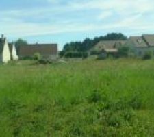 Visite du lot avant bornage (6)