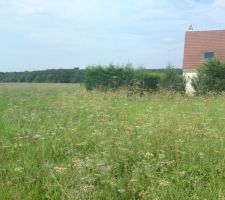 Visite du lot avant bornage (7)