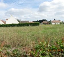 Nouvelle visite du lotissement(4)