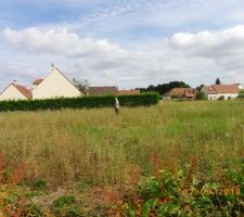 Nouvelle visite du lotissement(9)