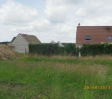 Dalle(11)