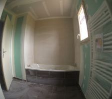 Pose de la fa&iuml;ence