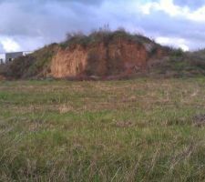 Vue depuis le fond du terrain