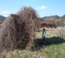 Le monstre du jardin