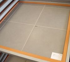 Futur carrelage (45*45, Terrières)
