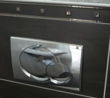 D&eacute;tail WC Geberit et cabochons argents