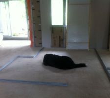 Le bureau déja approprié par le chien 7.55 m²
