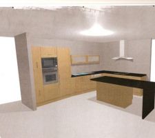 Voici le plan de notre future cuisine, mais le plan de travail sera couleur wengé je pense.