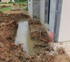 Mini piscine