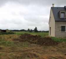 Terre végétale pour les finitions