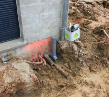Sorties de fourreaux