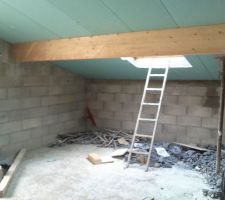 Pose de velux dans la salle de jeux