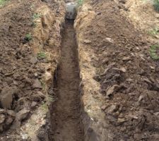 14m/60 cm de large/80 cm de profond de tranchée à la bêche en 8h