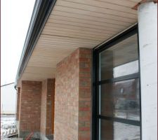 Cache moineau devant