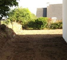 Pignon côté gauche