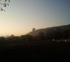 Voici la vue que nous avons du terrain