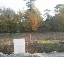 Le terrain avec l'espace boisé au fond (coté sud).