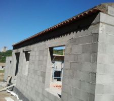 Les g&eacute;noises ! Humm &ccedil;a prend forme.